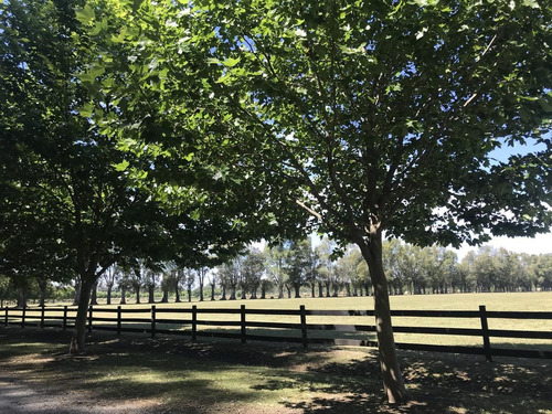 Imagen 23 de 30 de Oportunidad Lanzamiento Lote En Technopolo En Gral Rodriguez Capital Del Polo Argentino