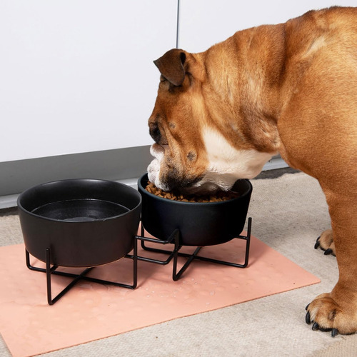 Comedero Doble Waggo Simple Solid Y Soporte Para Comedero