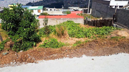 Imagen 5 de 11 de Terreno En Venta En El Sector De Santa María De Cotocollao