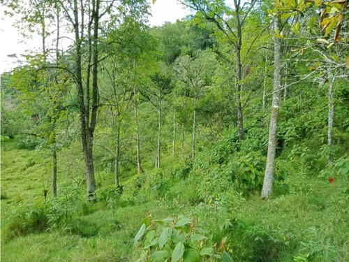 Vendo Finca Reventones Anolaima