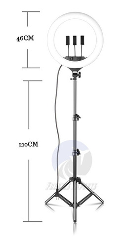 Ring Light 48cm 19 Polegadas Rl18 45w Rl-18 + Tripe +brinde