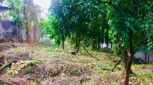 Imagem 10 de 11 de Terreno-à Venda-itanhangá-rio De Janeiro - Ebuf00038