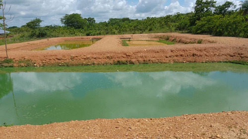 Imagen 11 de 14 de 12997 Katherine Castillo 0412-8567234 Venta Finca Ojo De Agua Via Acarigua