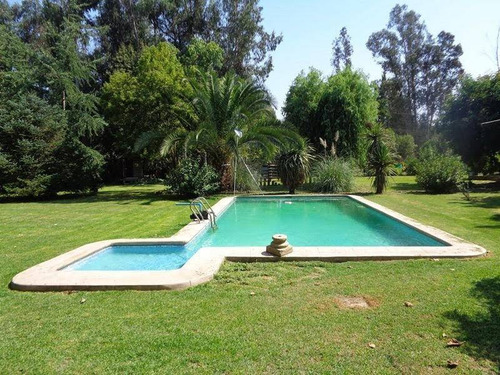 Imagen 1 de 20 de Las Palmeras