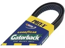 Comprar Correa Ford 8000 Guri 8000 Kodiak Encava Cummins 8pk1715