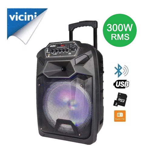 Super Caixa Acústica C/ Rodinhas E Bluetooth 300w Rms Vicini