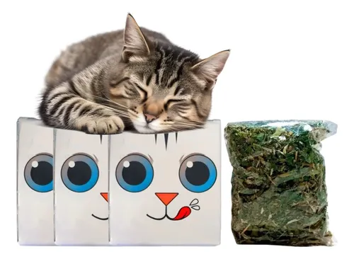 Hierba Gatera Juguetes Catnip Deshidratado Para Gatos X3