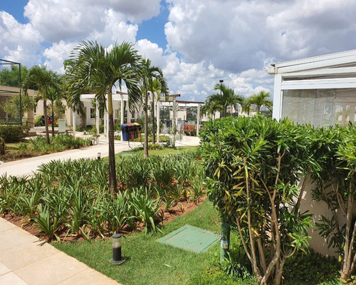 Imagem 16 de 30 de Apartamento - Ap03566 - 69345601