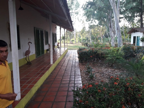 Imagen 5 de 27 de Finca En Venta En La Raya San Timoteo, Zulia