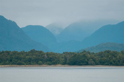 Agrícola En Venta En Cisnes