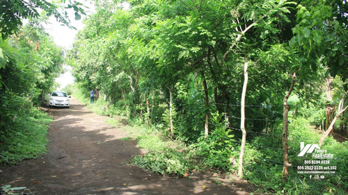 Imagen 7 de 11 de Vendo Finca En Remate En Masaya