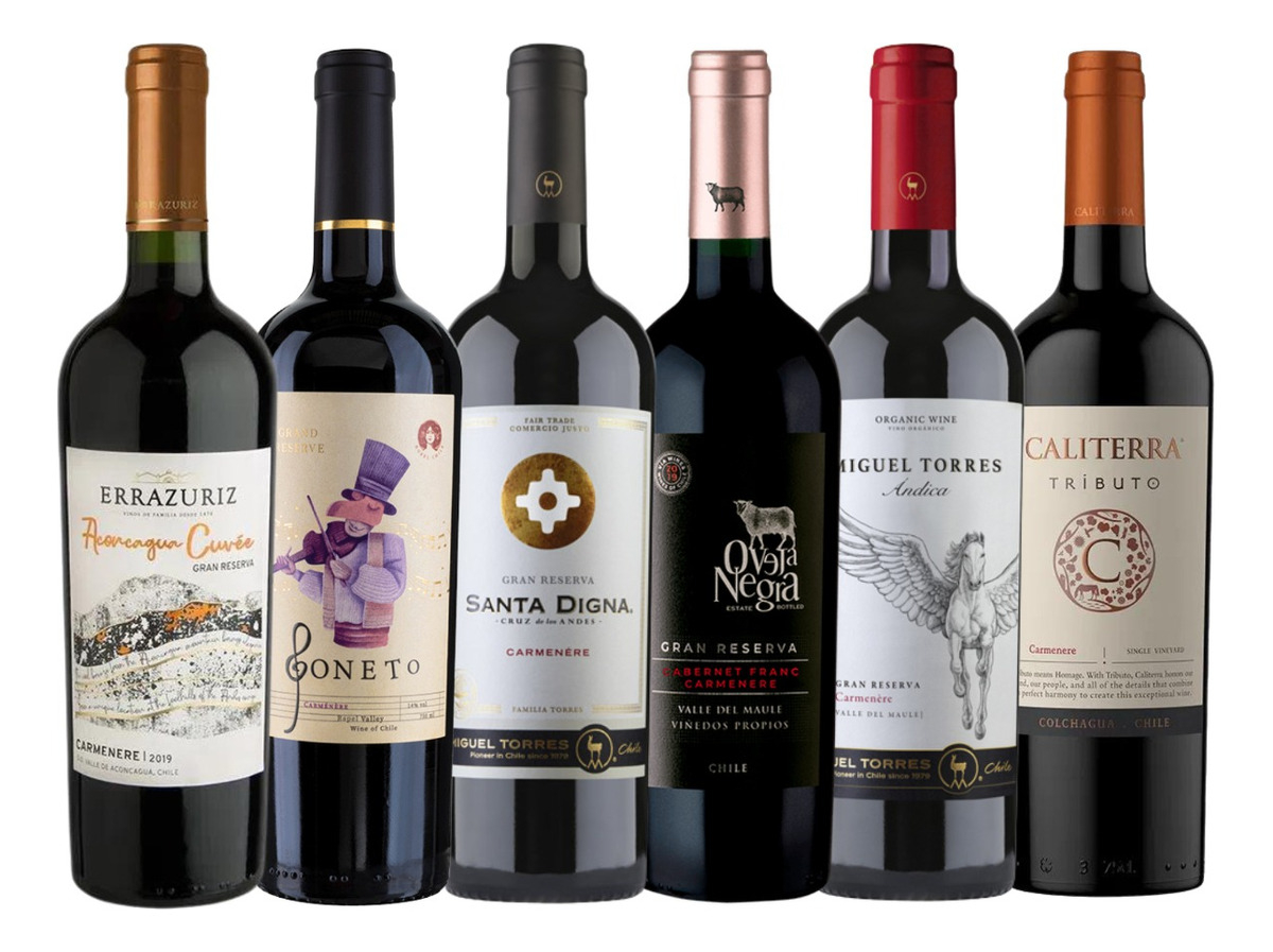 Pack 6x Vinos Gran Reserva Carmenere Mix