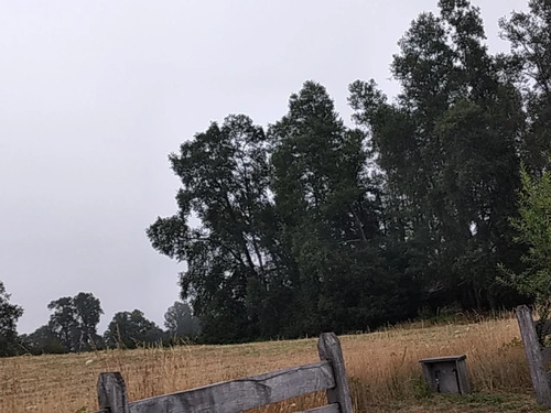 Parcela En Condominio 5000 Mt2