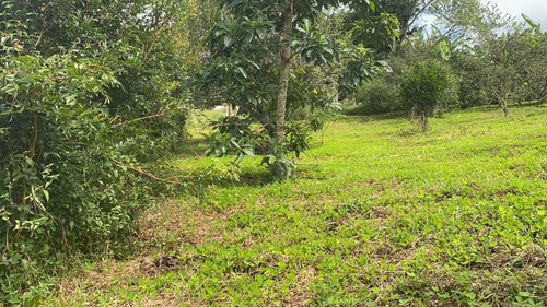 Imagem 11 de 20 de L06- Terreno De 45 Mil A Vista