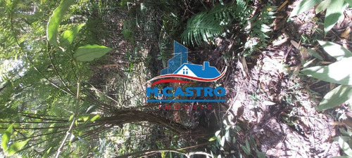 Imagem 8 de 10 de Terreno Embu Das Artes - Bairro Estancia Panorama - Ótima Oportunidade!!!!! - 8144