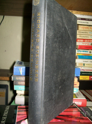 El Hombre Geminis - Novela- Richard Steinberg (Usado)