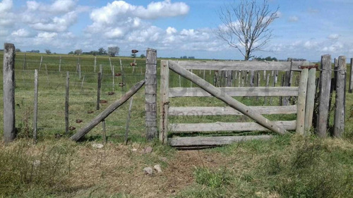 Imagen 6 de 15 de Venta Campo Mixto En Pergamino 27 Hectareas