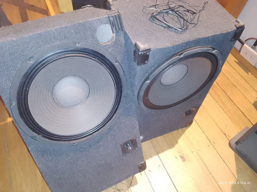 Bafles De 12 Pulgadas 250 Watts C/tweeter 