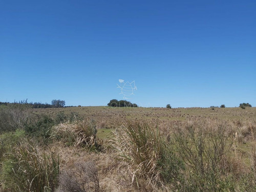 Imagen 18 de 20 de Venta Chacra En Jose Ignacio, Camino Arcos Del Sol 54 Has - Jose Ignacio José Ignacio