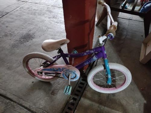 Bicicleta Para Niña Con Detalles 