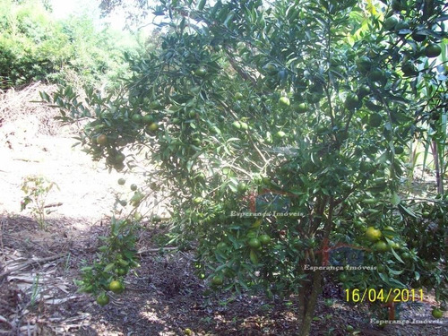 Imagem 10 de 15 de Ref.: 5531 - Chacaras Em Mairinque Para Venda - V5531