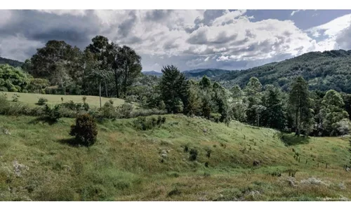 Lote En Venta Sector Llanogrande- Parcelación Vía Don Diego