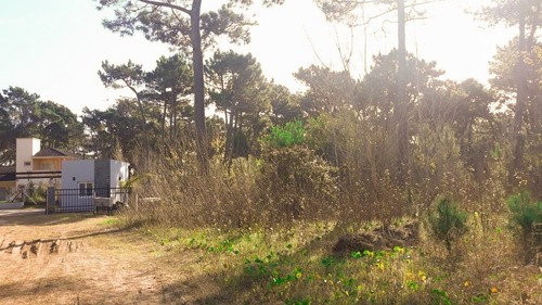 Imagen 1 de 3 de Lote En Venta En Cul De Sac - Alamos Ii