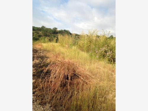 Imagen 3 de 4 de Terreno En Venta Rivera Cupia