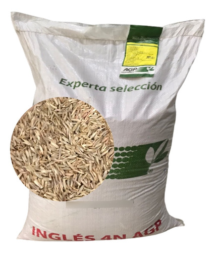 Semilla Rye Grass Para Ganado 1 Kg