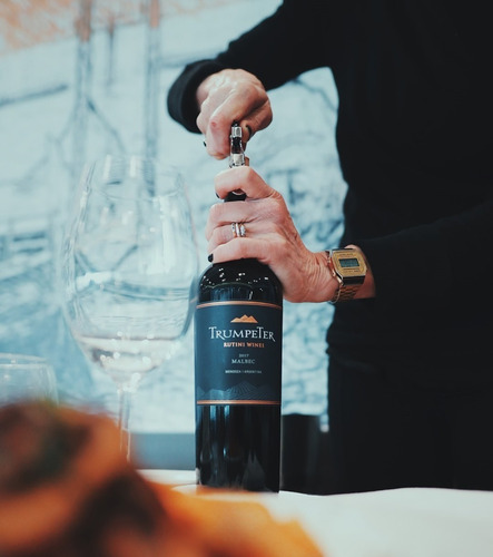 Imagen 3 de 10 de Vino Trumpeter Malbec 750ml. - Envíos - Microcentro