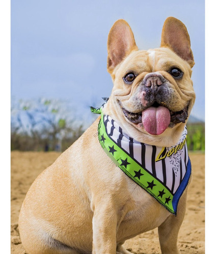 Imagen 3 de 9 de Bandanas Estampadas Para Perros. Varios Modelos