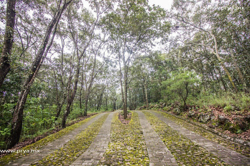Terreno En Venta Reserva De Los Encinos, Teuchitlán