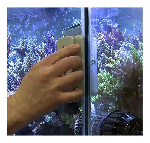 Limpiador Magnético Vidrios Acuario Mag Float Large+ Scraper