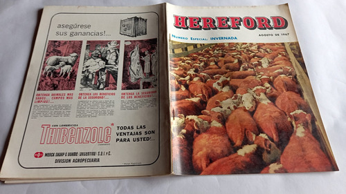 Revista Hereford 319 Numero Especial Invernada Agosto 1967