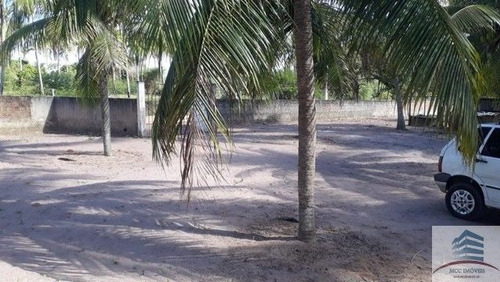 Imagem 11 de 14 de Granja A Venda Lagoa Do Bonfim