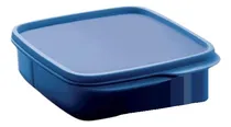 Comprar Tupper® Porta Vianda 550ml Con División Tupperware® 0% Bpa Azul