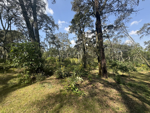 Vendo Terreno Boscoso De 11 Hectáreas En Jilótepec
