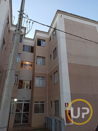 Imagem 4 de 15 de Apartamento Em Angicos - Vespasiano - 9590
