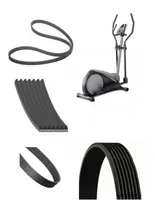Comprar Banda Para Elípticas Gold's Gym Strider Trainer 310