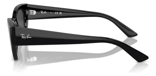 Óculos De Sol Feminino Ray-Ban Solar ZENA armação preto
