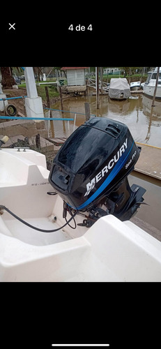 Motor Mercury 40 Hp Seapro 2t