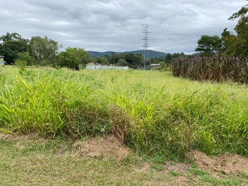 Chácara 2.500 M² - Morungava - Gravataí - Rs - 2499 - 69232388