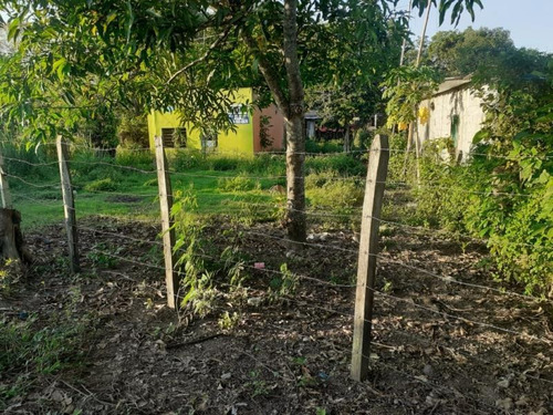 Imagen 2 de 5 de Terreno En Venta Miguel Hidalgo