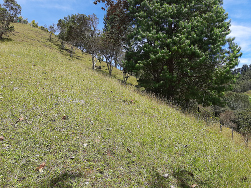 Venta Lote En El Alto De Las Palmas