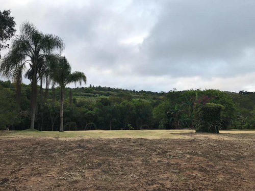Imagem 17 de 17 de Chacaras De 2.000m² Cada, Á 10 M Do Chopin, Plana. - V147