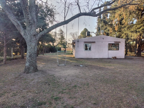 Imagen 4 de 20 de En Venta!!! Casa Quinta Frente A Rn 188, Km 153. (junín - Ba)