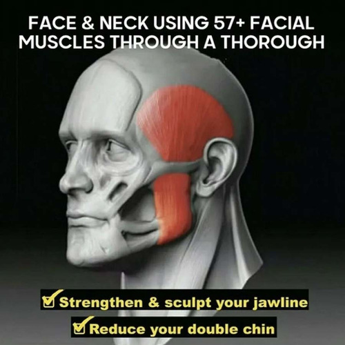 Imagen 6 de 10 de Jawline - Bolas Para Masticar, 3 Piezas