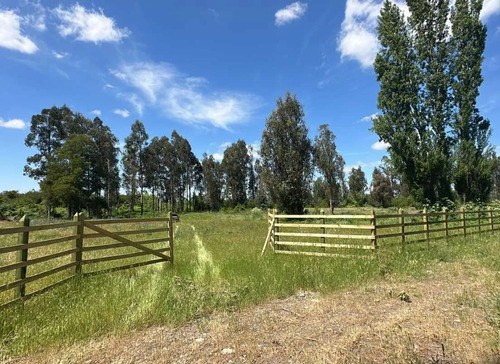 Inversión Ideal En Entorno Natural (134874)