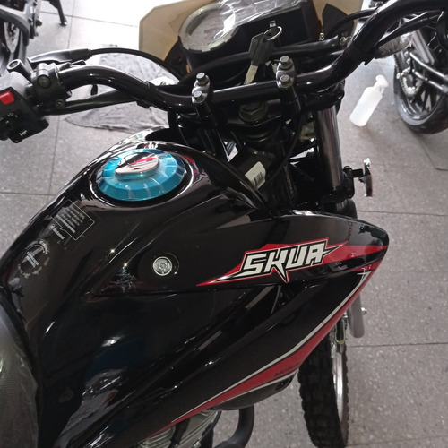 Imagen 13 de 23 de Motomel Enduro Skua 150 V6