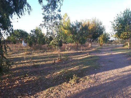 Imagen 16 de 17 de Vendo Campo De 300ha, San Rafael, Mendoza